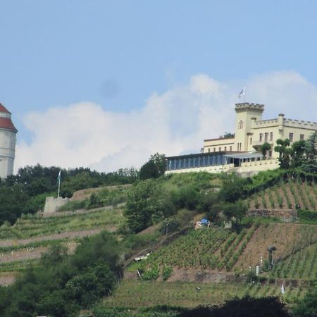 Hotel - Pension Villa Marie ราเดอบอยล์ ภายนอก รูปภาพ
